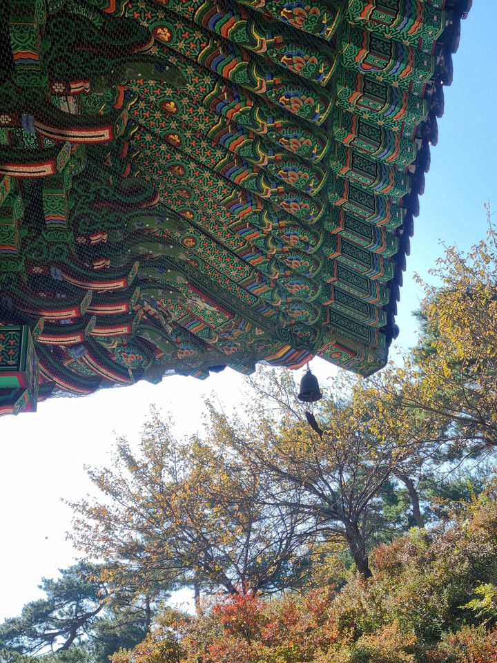 #가을#사찰