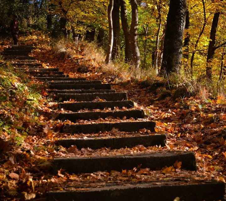 put eyes down,leaves are falling down...
