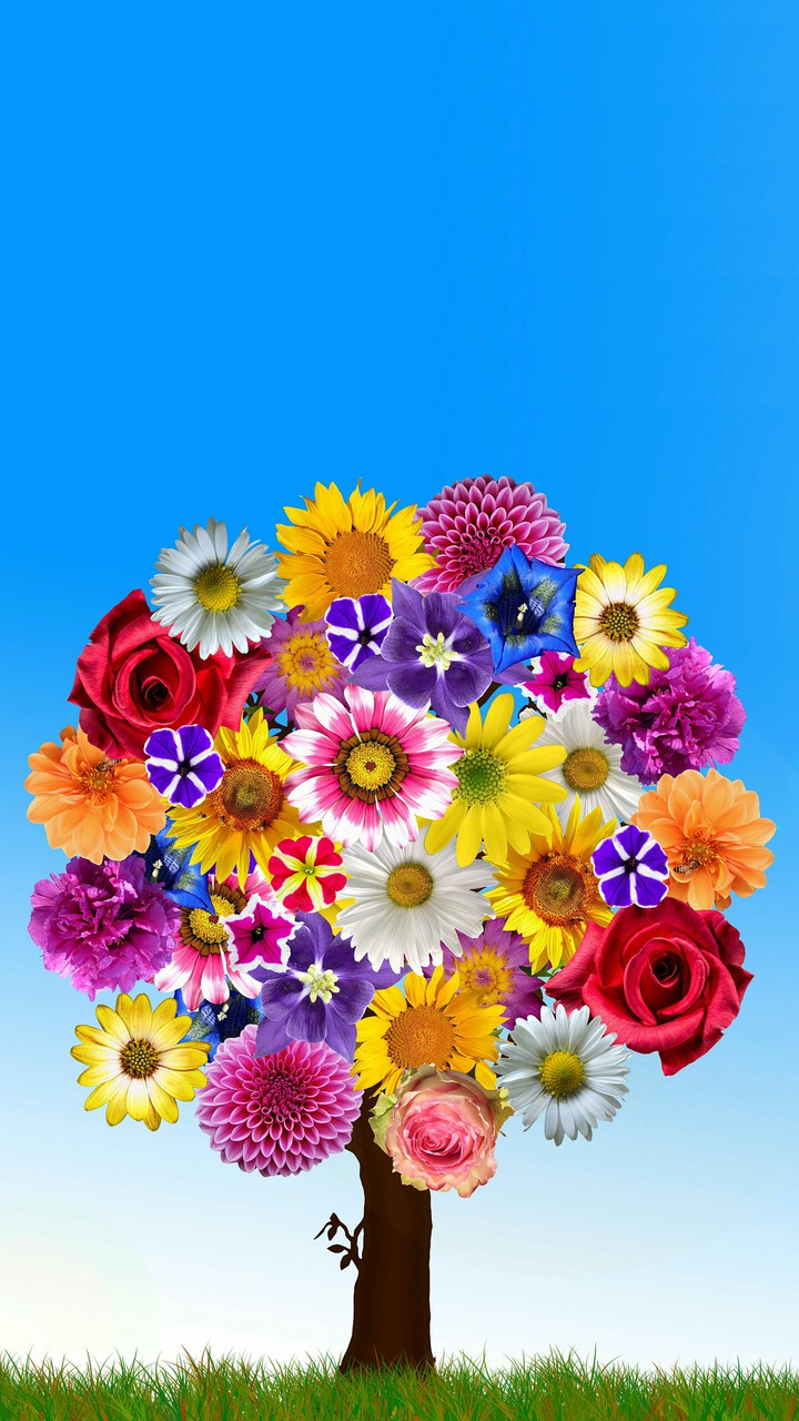 Wishing A Very Colorful Day ❤️