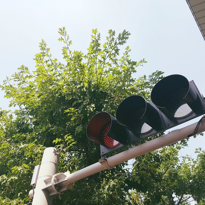 신호등