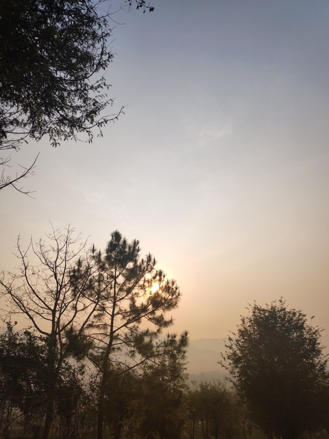 Good morning, morning.