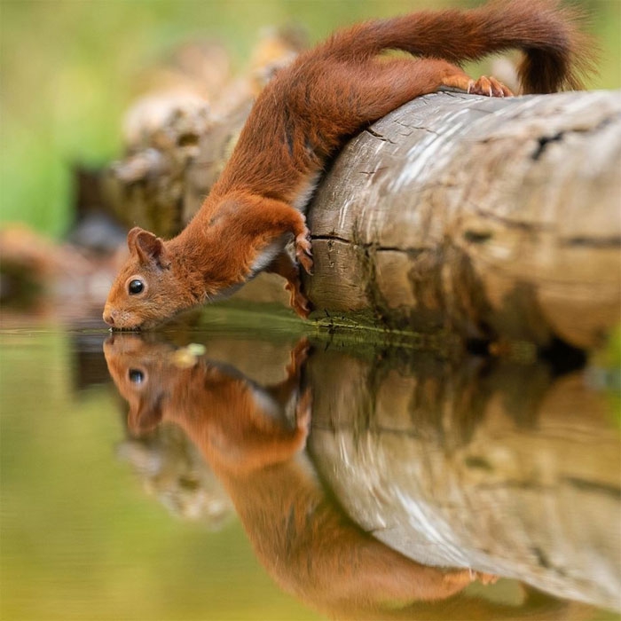 Nature