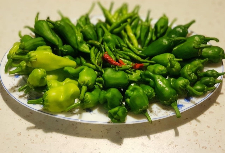 pepper.