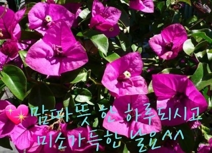 배경화면