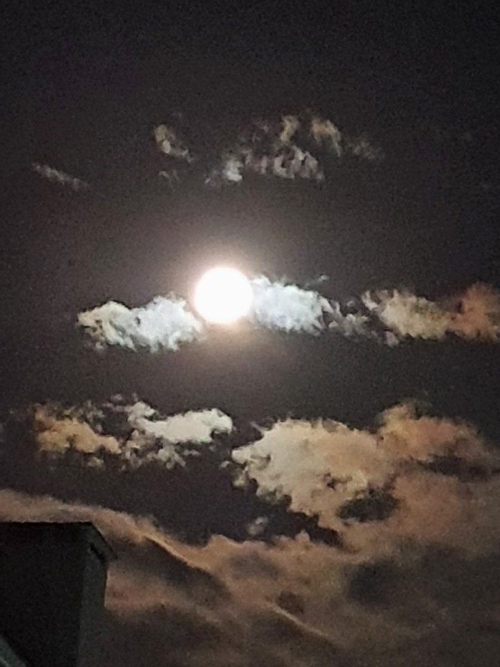 보름달