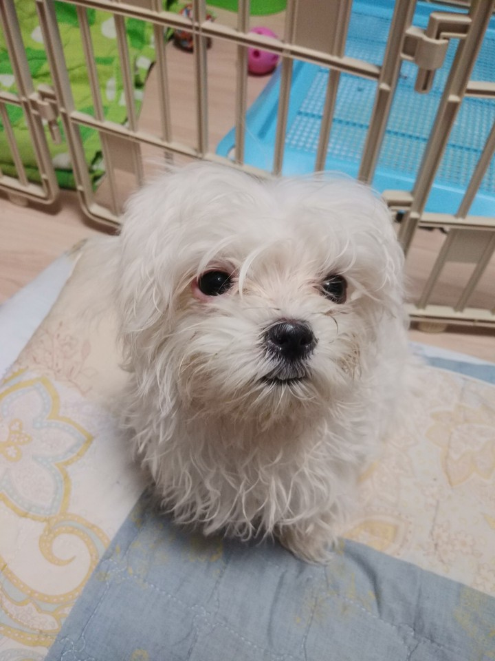 코로나 없어져라