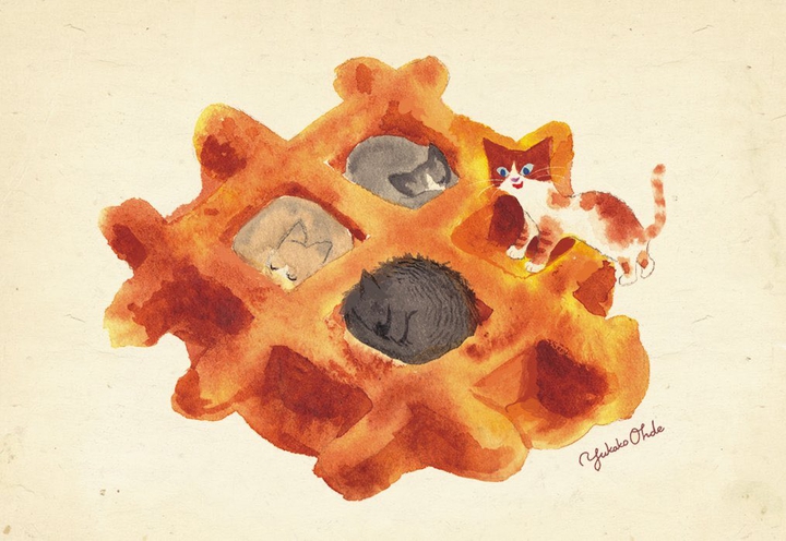 waffle cats