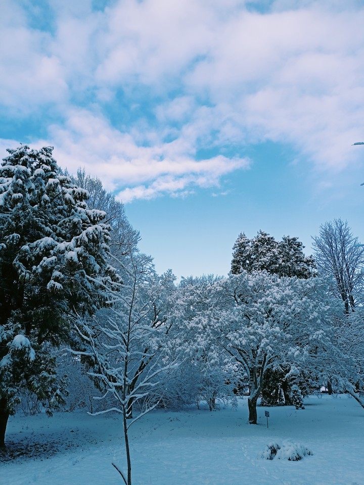 Winter