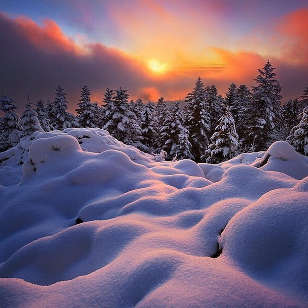 Snow