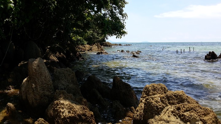 @Rabbit Island