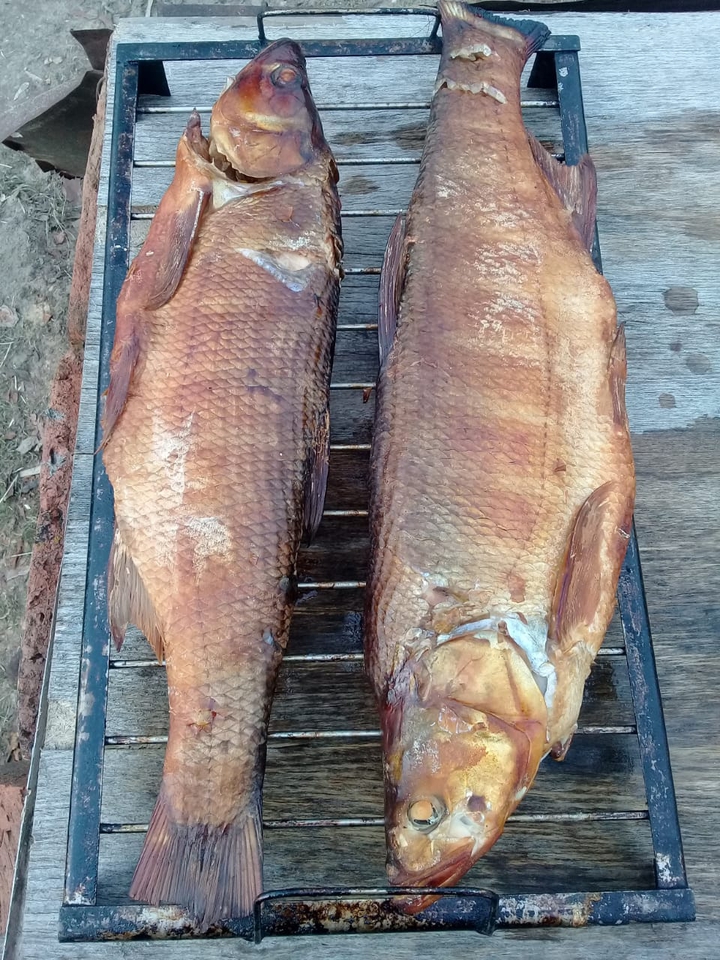 #fish