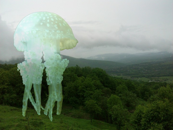 медуза