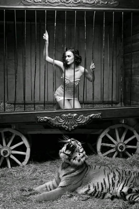 performance, monochrome háttérképek