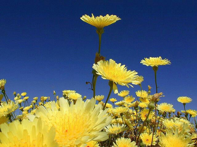 ☀