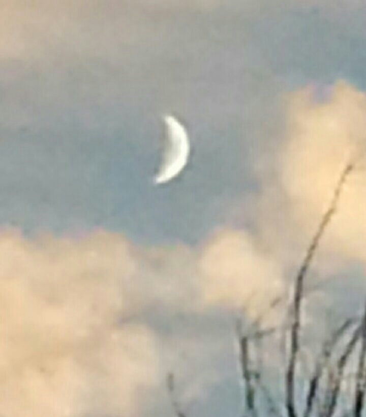 moon