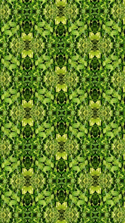 Kaleidoscopes by SexyMugsy