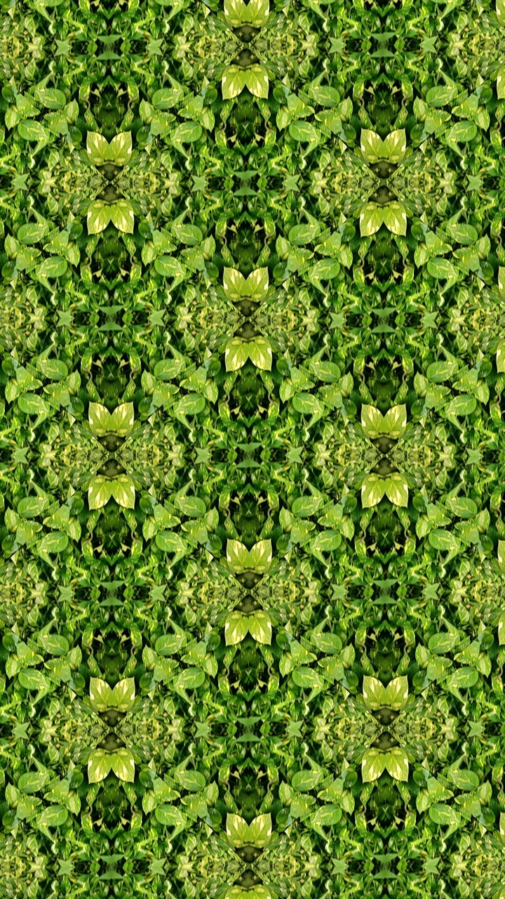 Kaleidoscopes by SexyMugsy