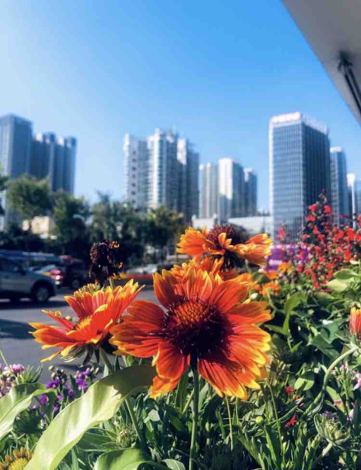 Guangzhou