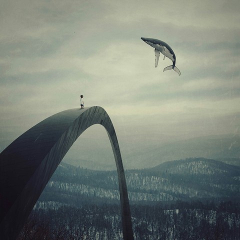 Flying whale