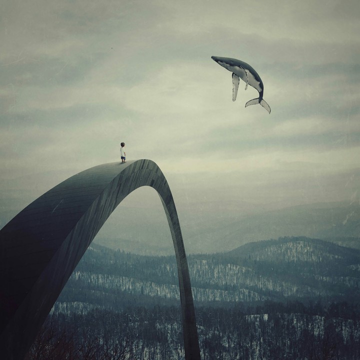 Flying whale