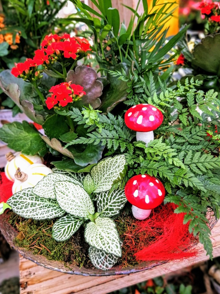 Blumen