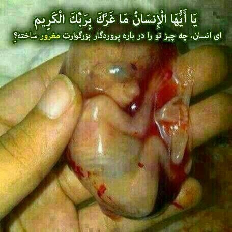 ای انسان چرا تفکر نمی کنی