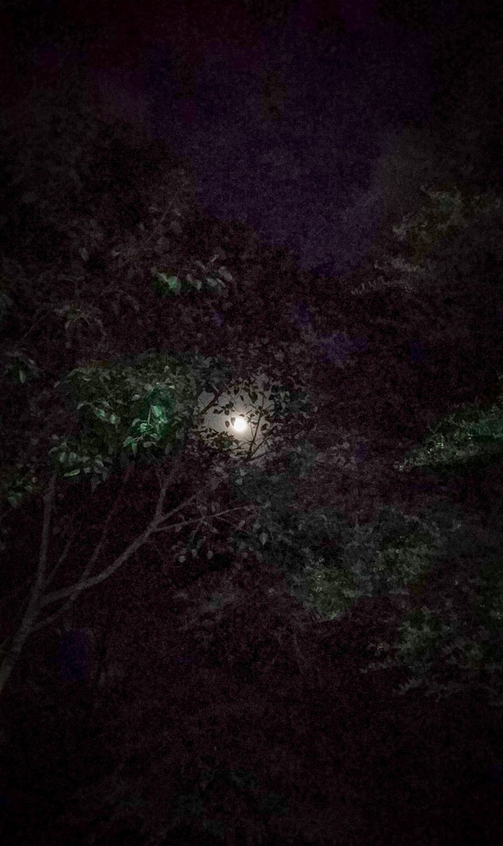 moon