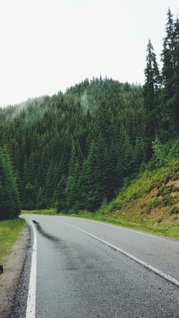 Mountain road