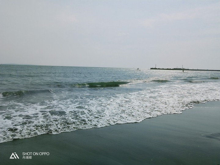 美的海