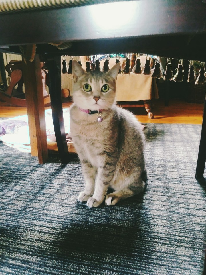 Chloe