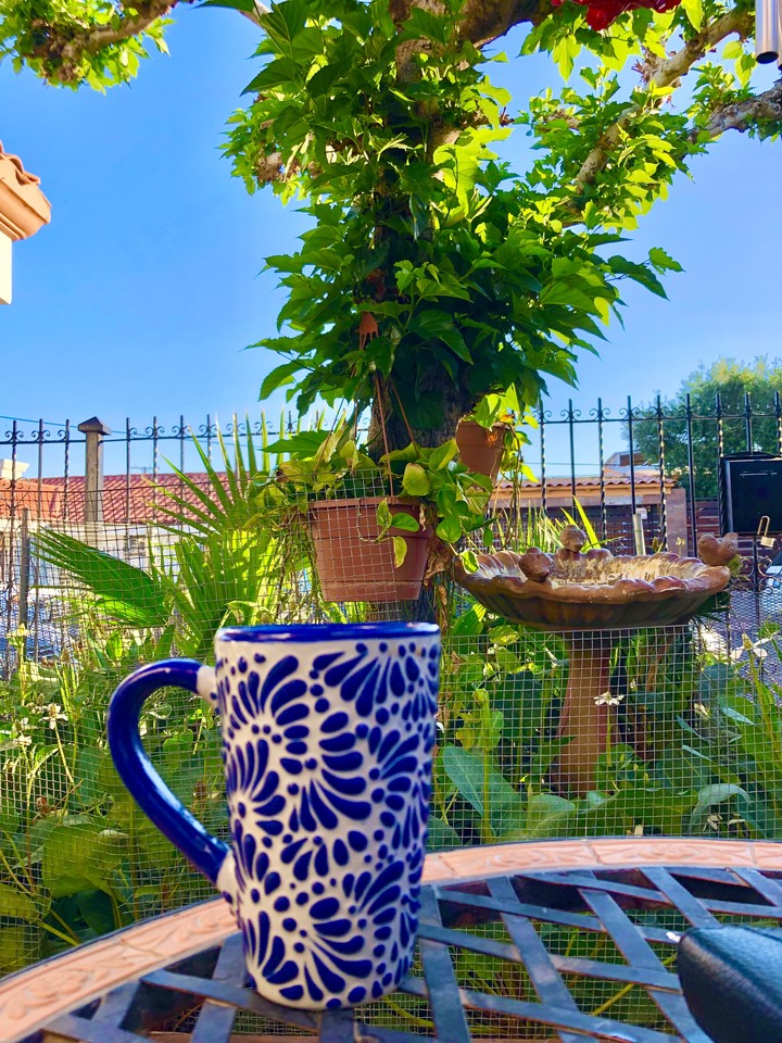 Mañanas de primavera