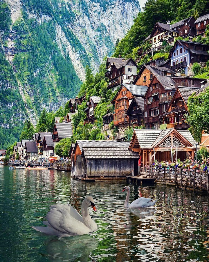 villa next to the lake #nature #mountain