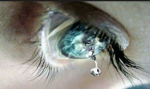 eyes  drops
