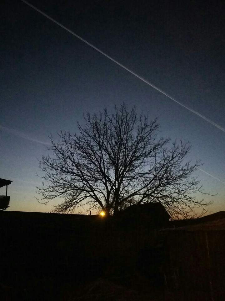 sky