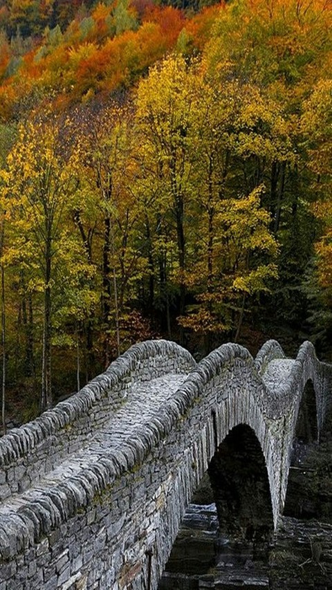 landscape nature
