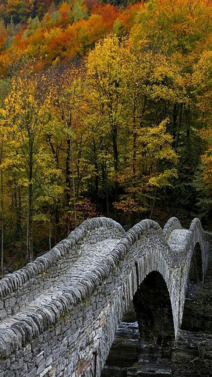 landscape nature