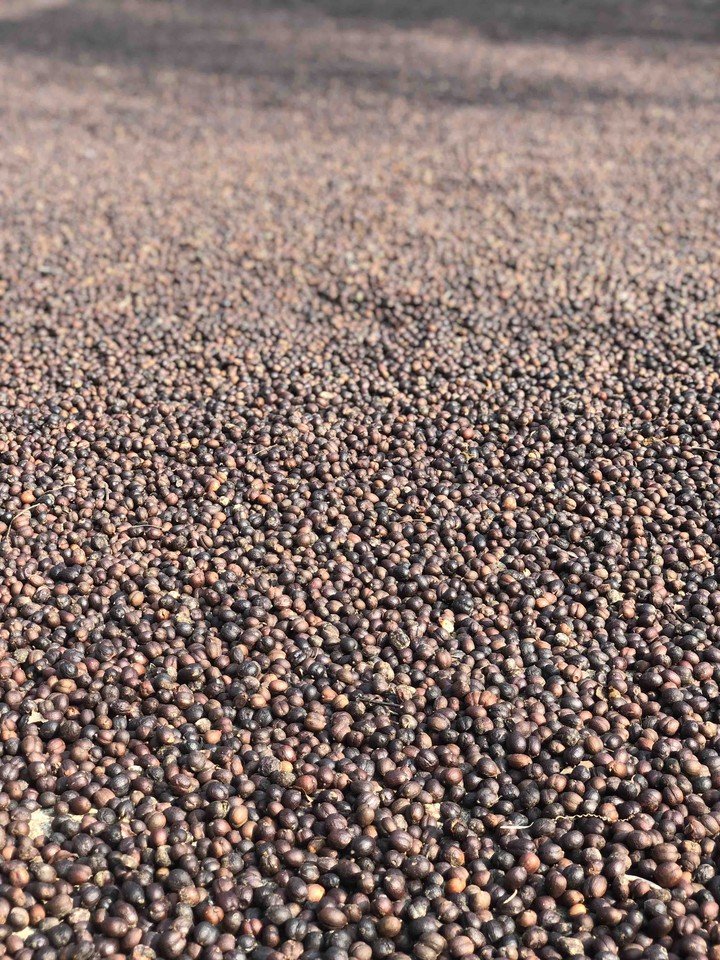 Coffee beans