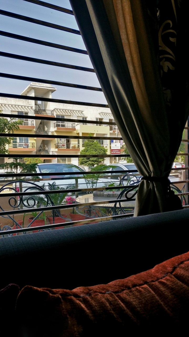 View From The Window