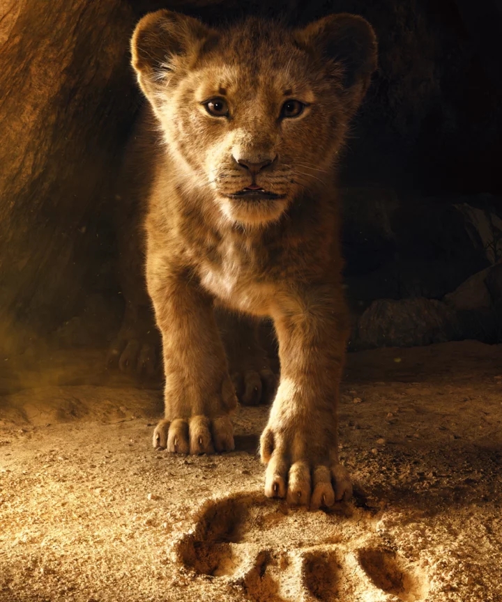 The lion king