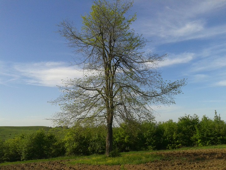 qusar azerbaijan