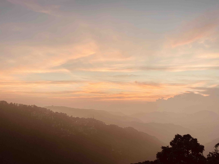 Shimla Dairy