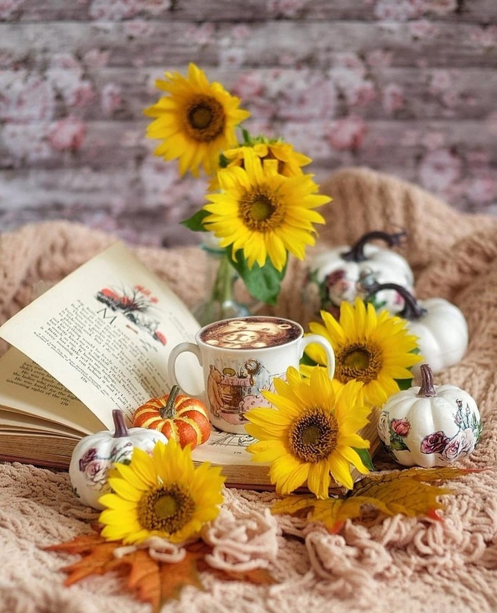 #sunflowers