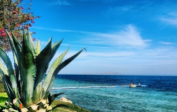 Sea