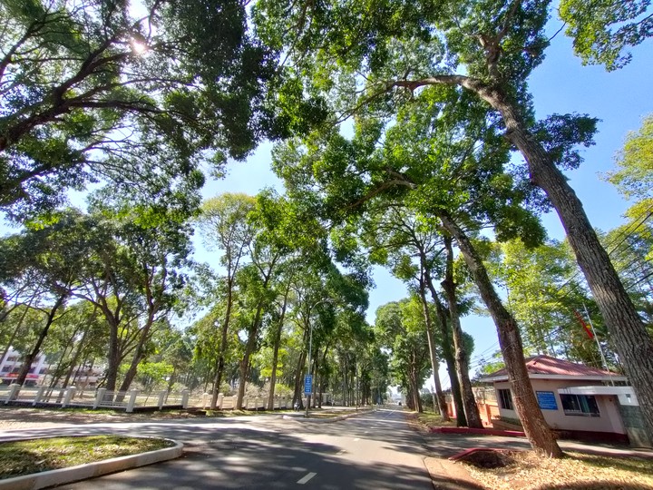 Road