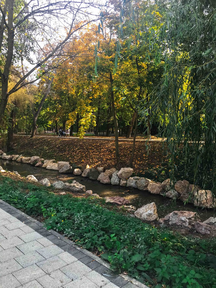 park