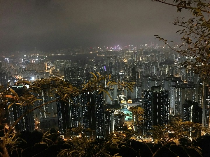 City Landscapes