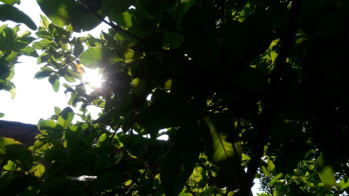 Light