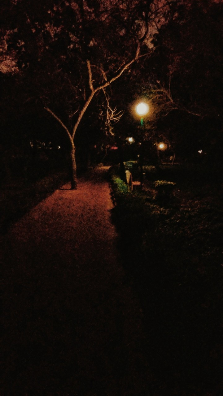 night walks are the best