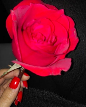 تبریز