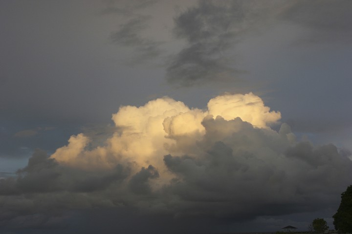 Scenics